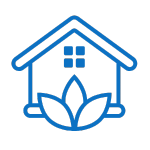 Namas ir augalas prieš jį.